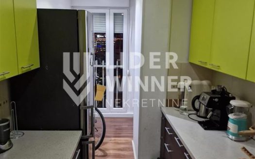 Potpuno renoviran stan