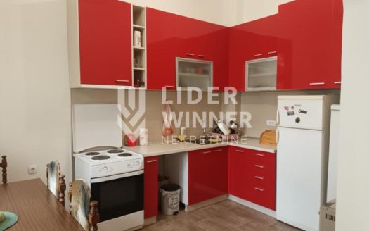 Salonski stan u centru