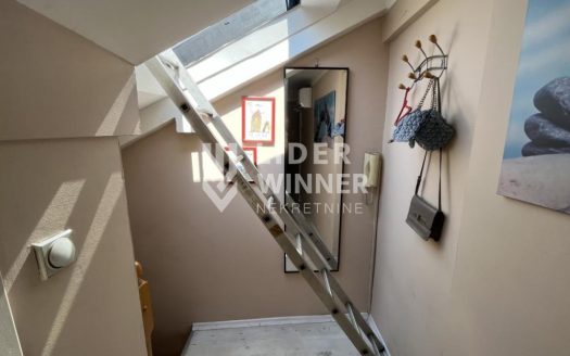 Jedinstven stan u Zemunu