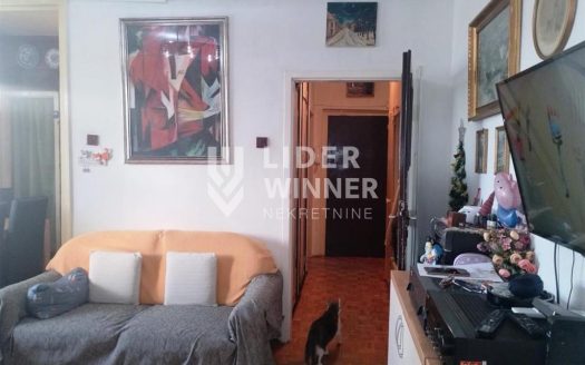 Dedinje – Stjepana Filipovića