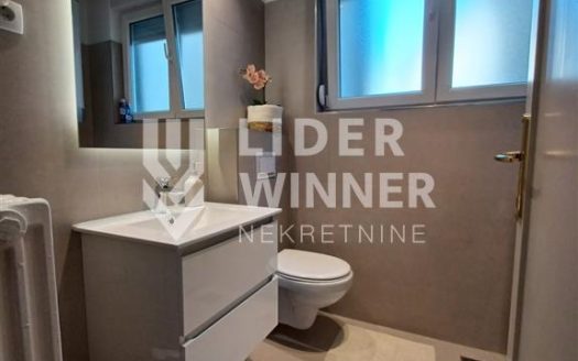 Stan u centru Vračara